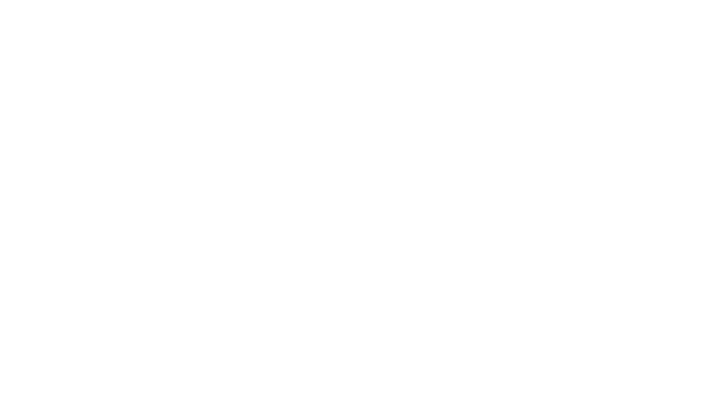 The Catalyst